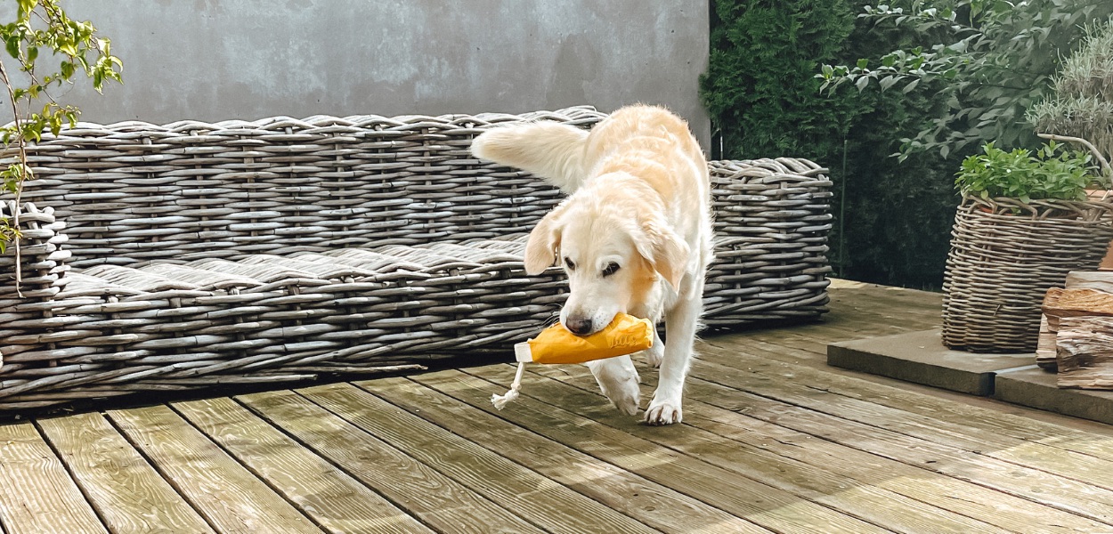 Dummy-Training  Lill's Dog Blog